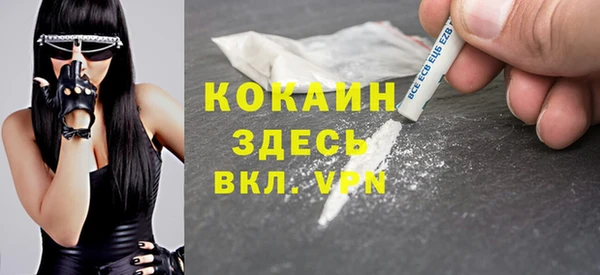 индика Абинск