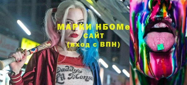 индика Абинск