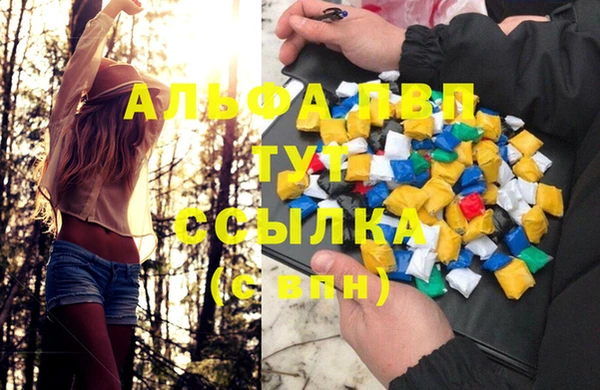 дмт Абаза