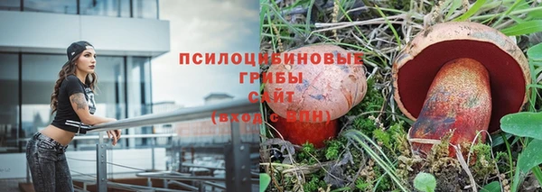 дмт Абаза