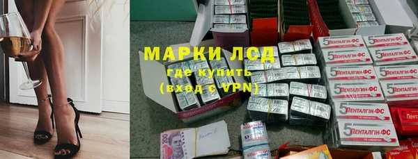 индика Абинск
