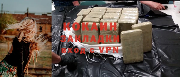 индика Абинск