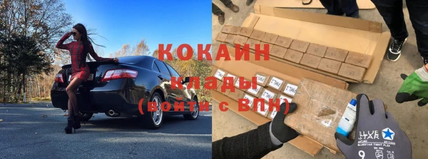 индика Абинск
